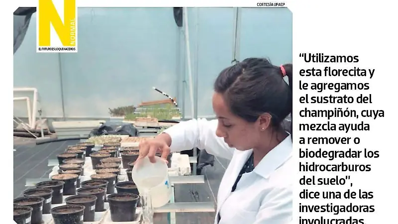 huachicol SITIO3.